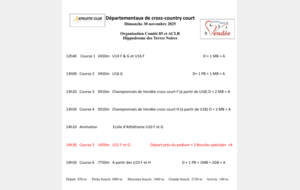 Départementaux de cross-country court