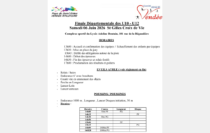 Finale Départementale Eveils - Poussins
