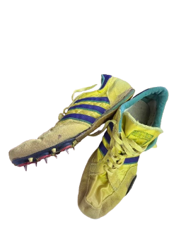 Pointes 41