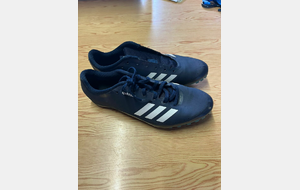 Pointes 41.5