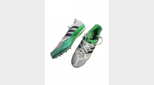 Pointes 37 