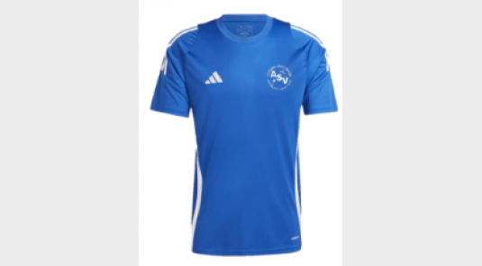 T-shirt d'entraînement ADIDAS
